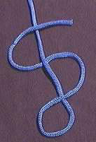 Stevedore Knot Stevedore Knot