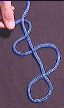 Stevedore Knot Stevedore Knot