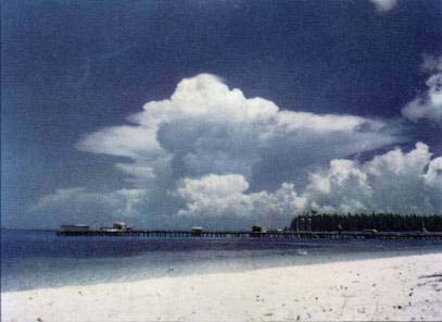Weather Weather