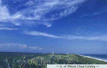 Weather Weather