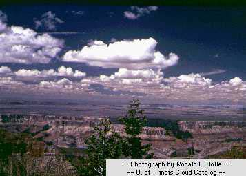 Weather Weather