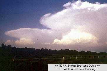 Weather Weather